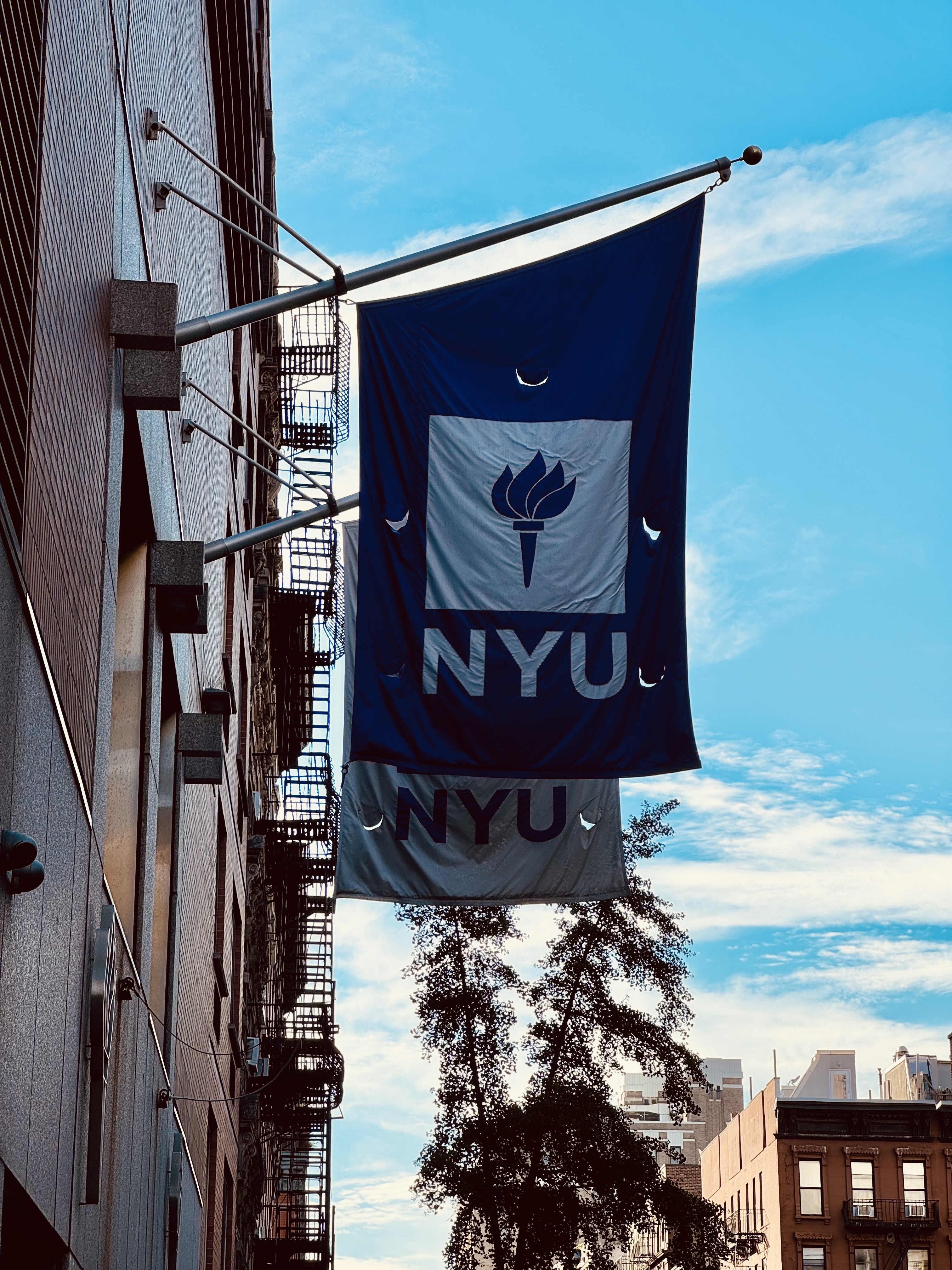 纽约大学（NYU）的旗帜