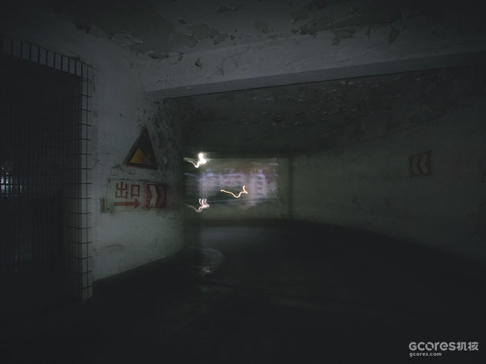 摄影分享丨这一年 摄影分享丨这一年