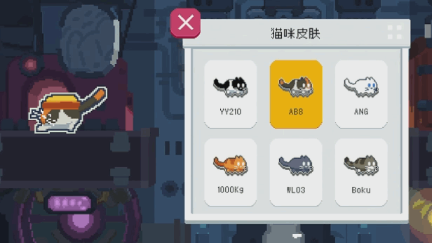 家里有猫猫的朋友一定要来玩呀
