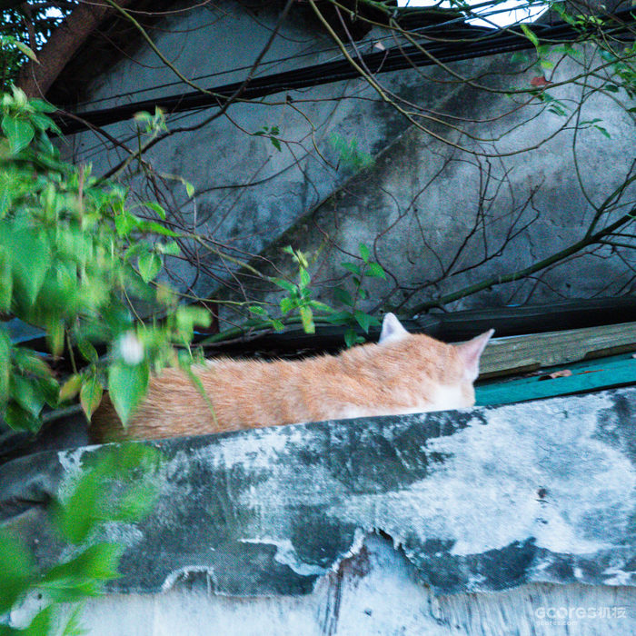 摄影分享丨这一年 摄影分享丨这一年