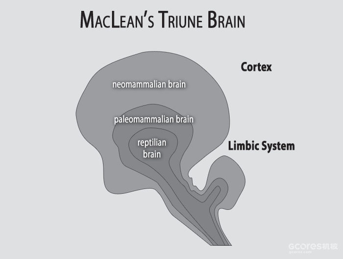 译介丨精神压力与身体健康 第二章:压力反应的具体细节 译介丨精神压力与身体健康 第二章:压力反应的具体细节