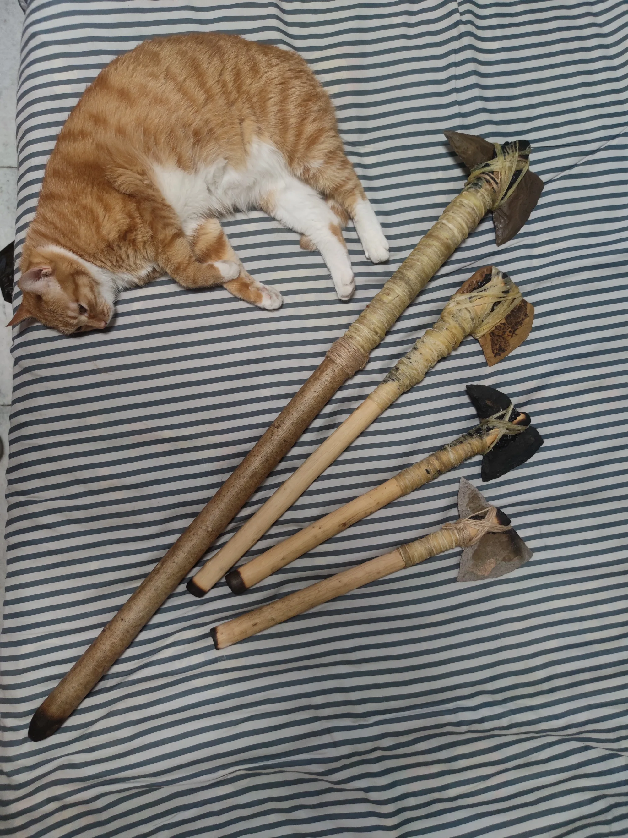 石斧与猫猫