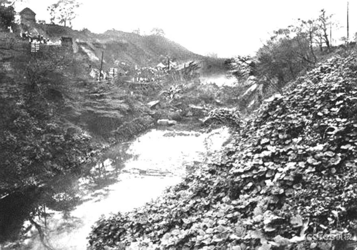 《铃芽之旅》剧情与民俗深度解读 《铃芽之旅》剧情与民俗深度解读