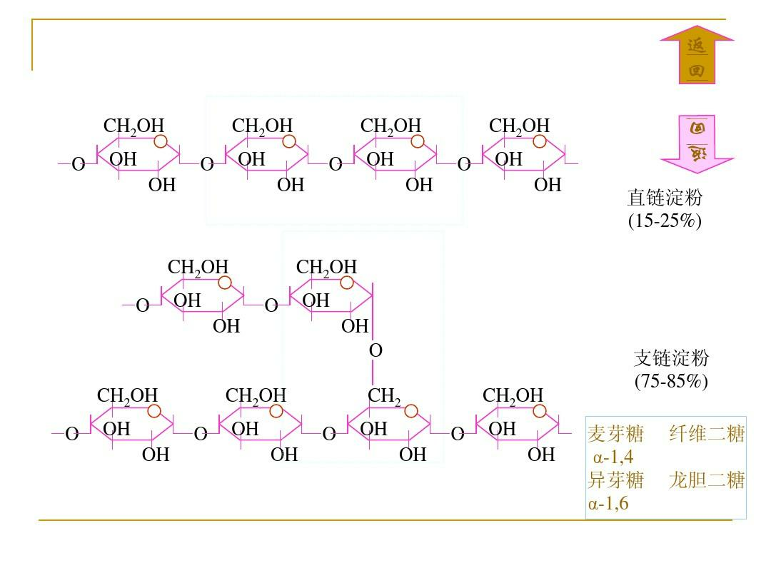 直链淀粉与支链淀粉