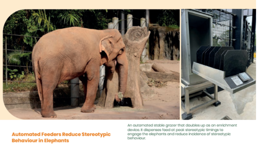 其中一种自动喂食器——节选自《Mandai WILDLIFE GROUP YEARBOOK 2023-2024》