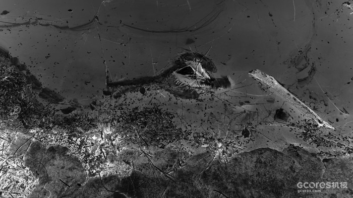 摄影分享丨这一年 摄影分享丨这一年