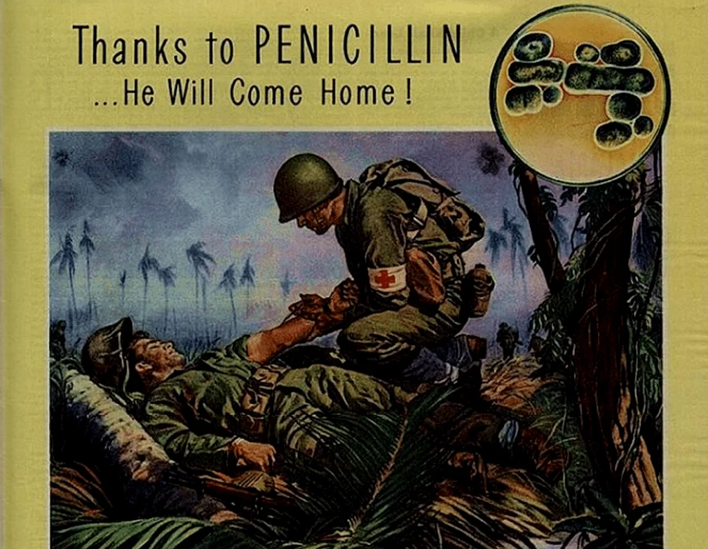 在规模空前的第二次世界大战中，青霉素救下了不知多少盟军战士的生命