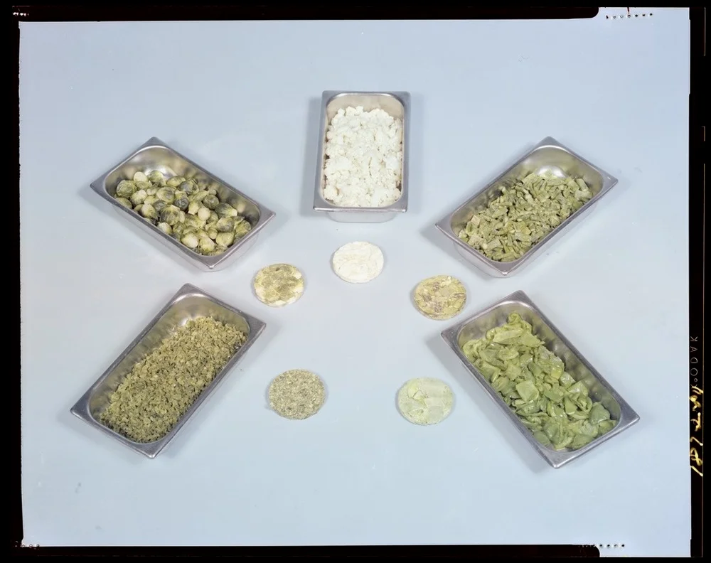 几种压缩蔬菜加水复原