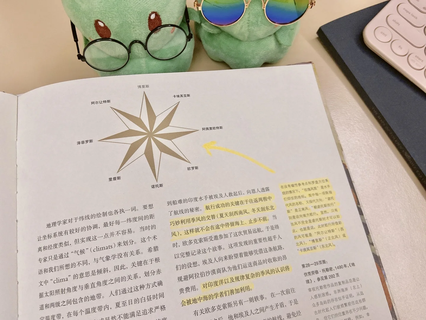 比如风玫瑰图