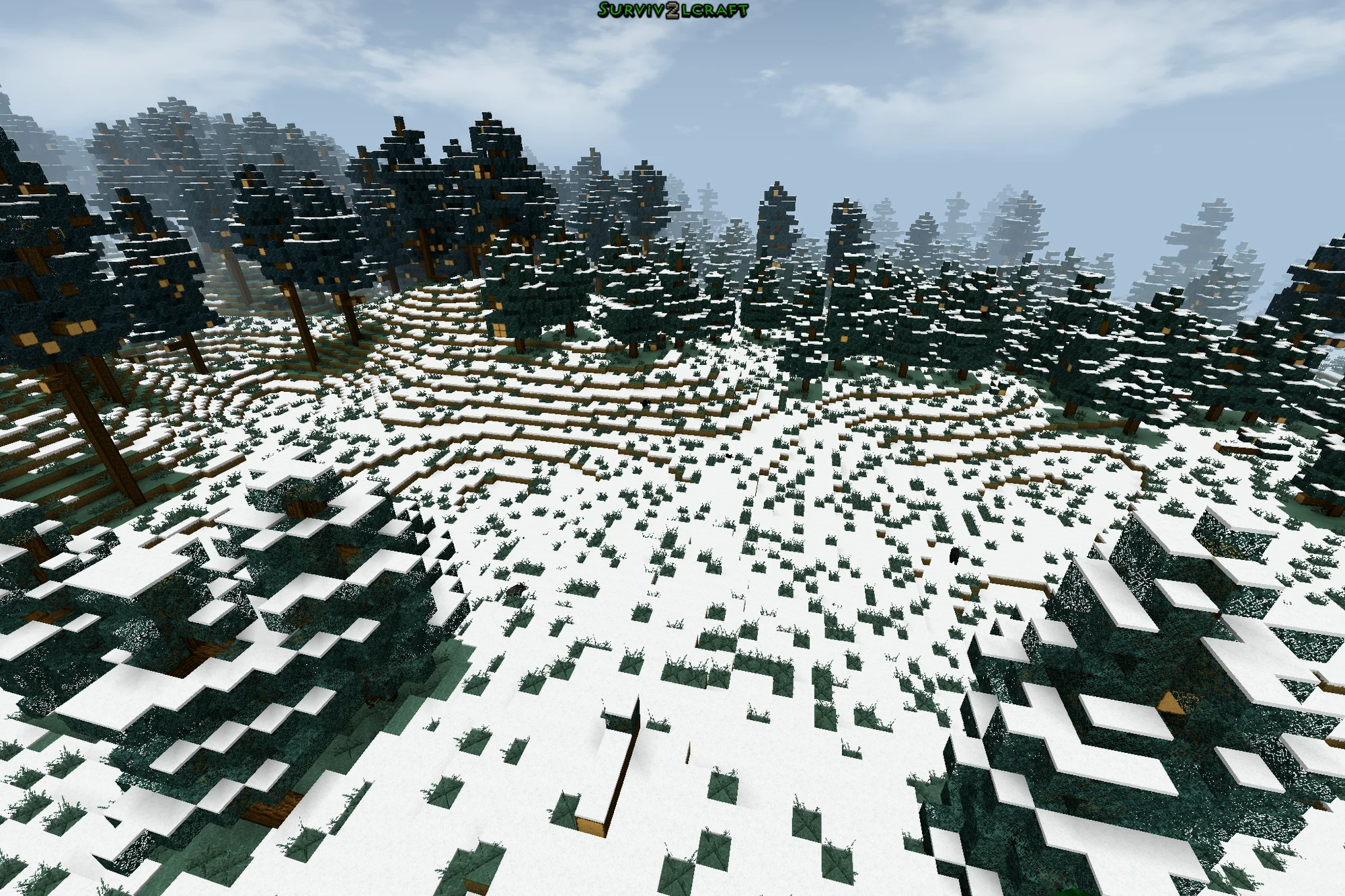 雪原