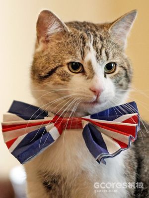 译介丨猫朋友世界博览:英伦公务猫 -古典时期的先驱者-
-是,捕鼠大臣-
-进入互联网时代-
-英国第一公务猫拉里(Larry)-
-后来又如何-
-编后记-