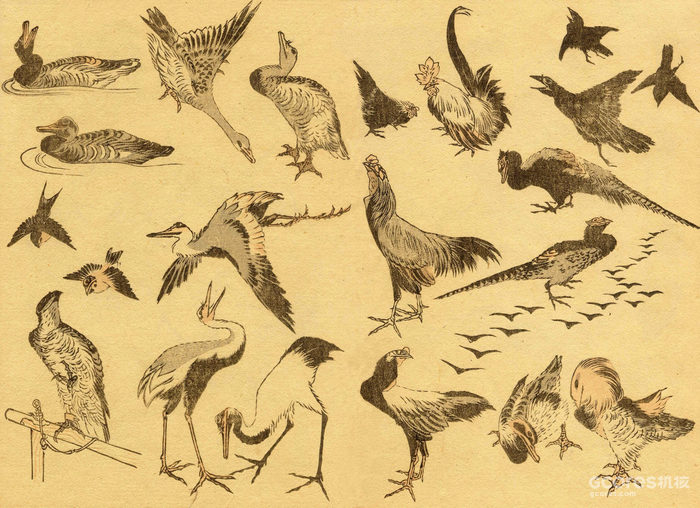 通过《浮世绘》聊聊设计:第一期 北斋漫画 通过《浮世绘》聊聊设计:第一期 北斋漫画