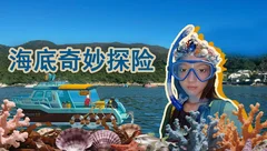 游戏测评