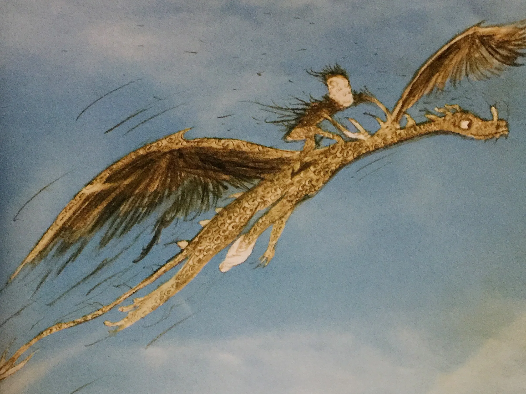 原著里小嗝嗝的第二条龙“Windwalker”的性格和动画里的无牙比较像，而且也是坐骑
