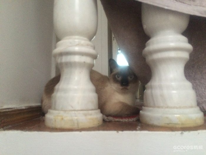 摄影分享丨巴库 摄影分享丨巴库