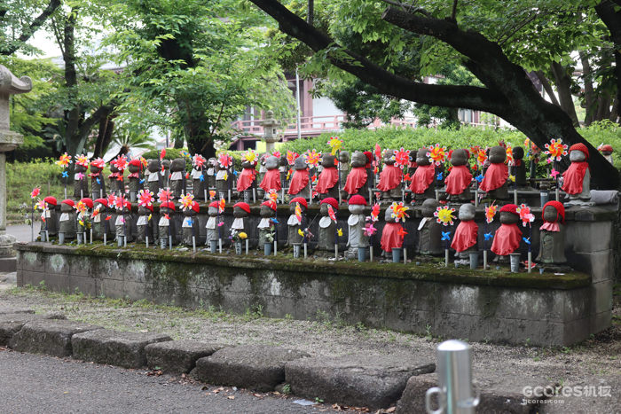 摄影丨东京印象 摄影丨东京印象