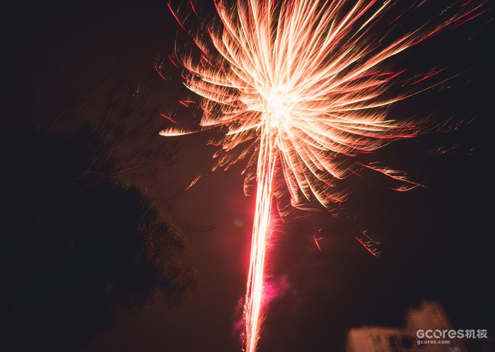 摄影分享丨这一年 摄影分享丨这一年