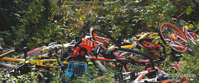 摄影分享丨这一年 摄影分享丨这一年