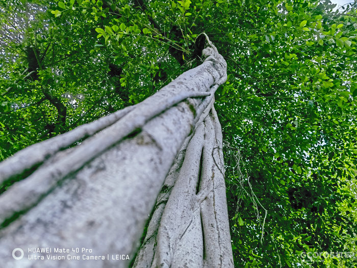 去阳朔玩的一些照片 去阳朔玩的一些照片