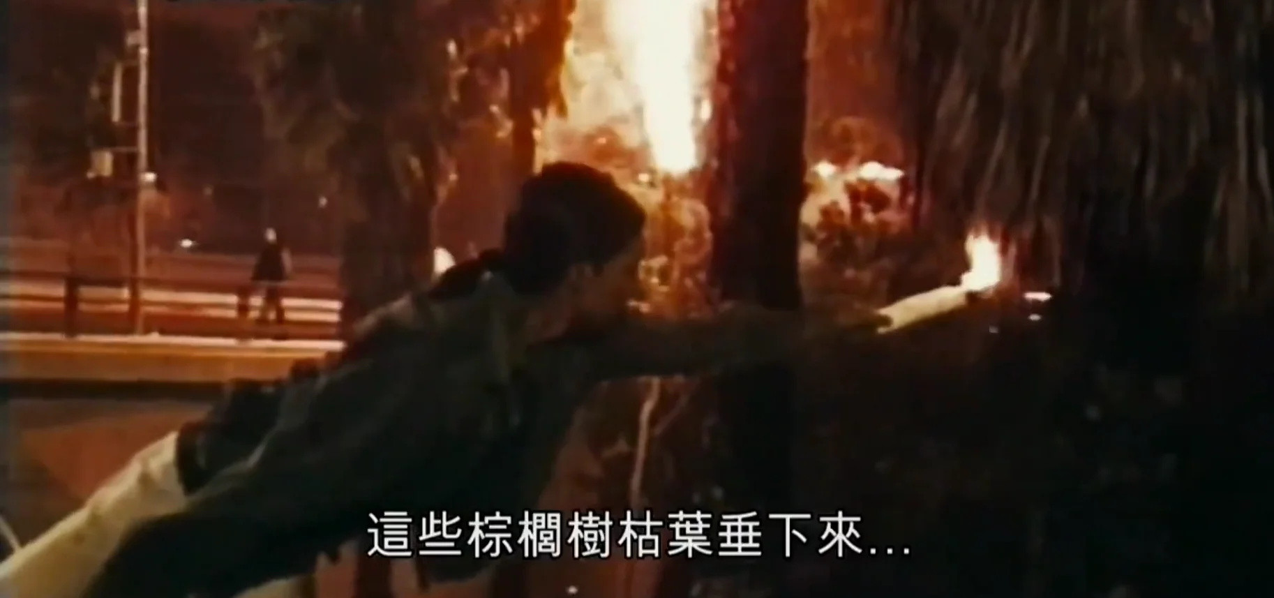 “他就这样沿着大街，把棕榈树都点着了，一棵又一棵”