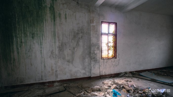 摄影分享丨这一年 摄影分享丨这一年