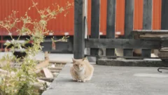 「平凡就是最好的生活」