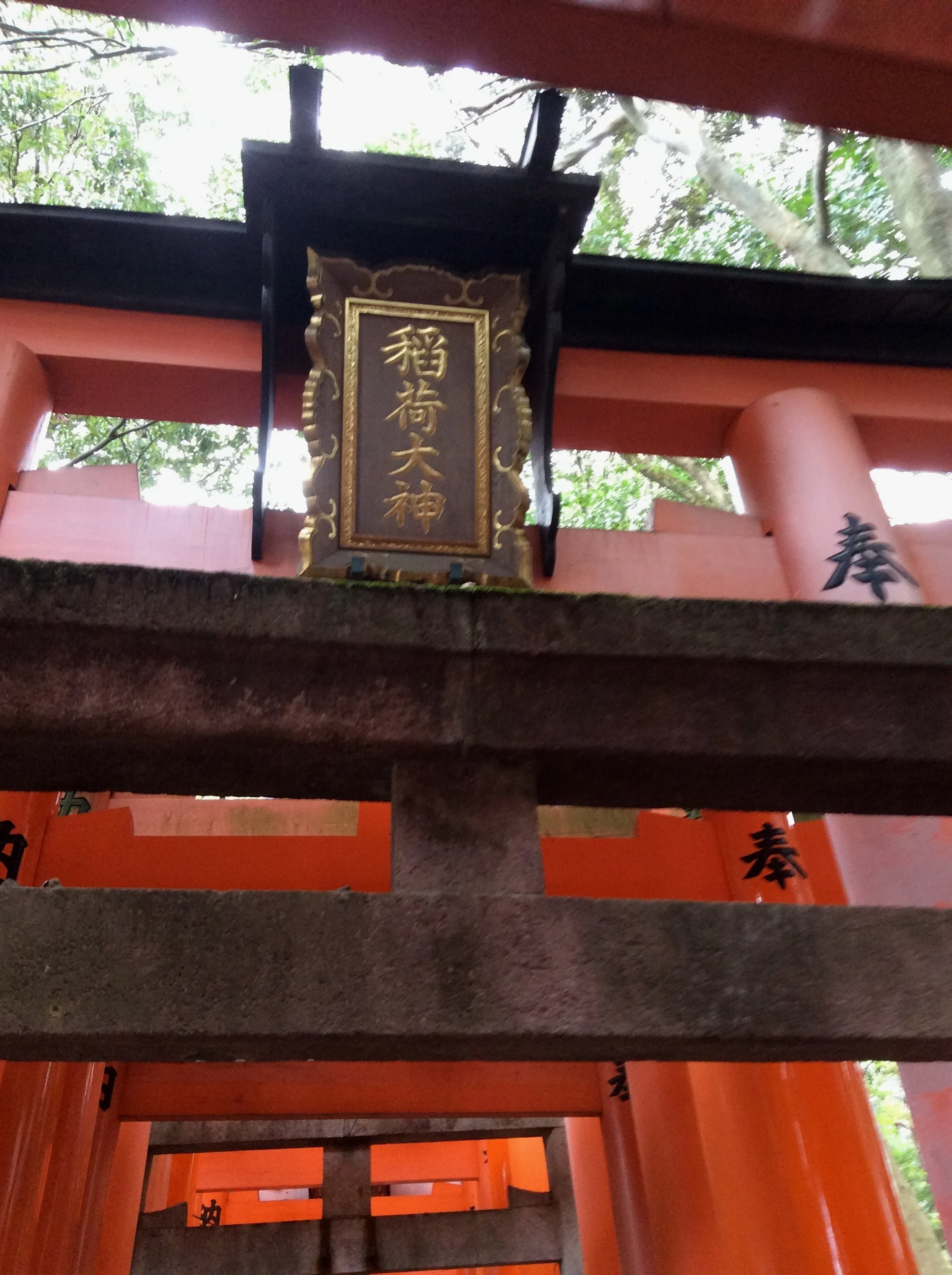 “千本鸟居”一角