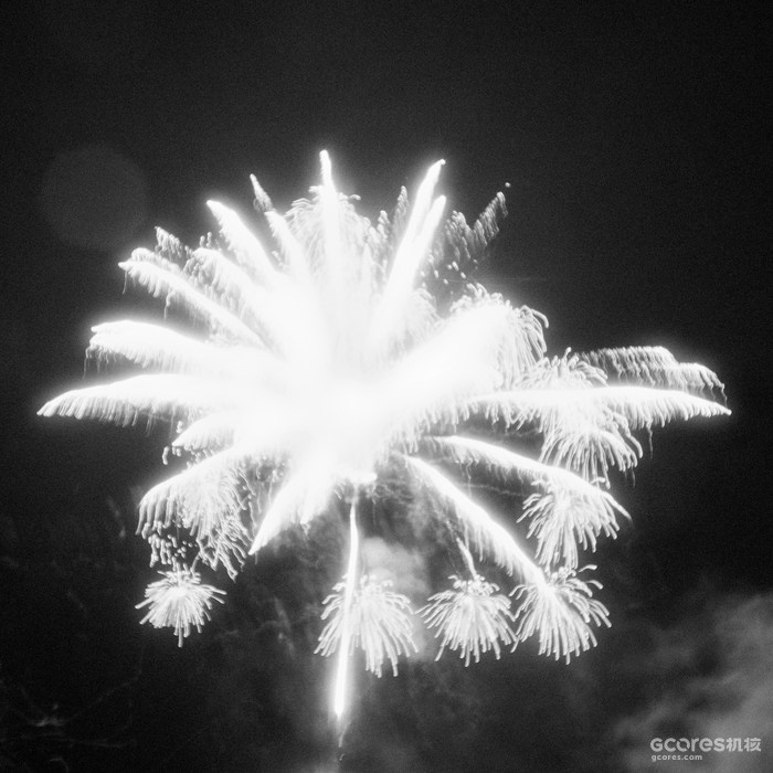 摄影分享丨这一年 摄影分享丨这一年