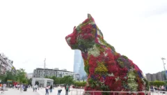 建筑，展览，博物馆