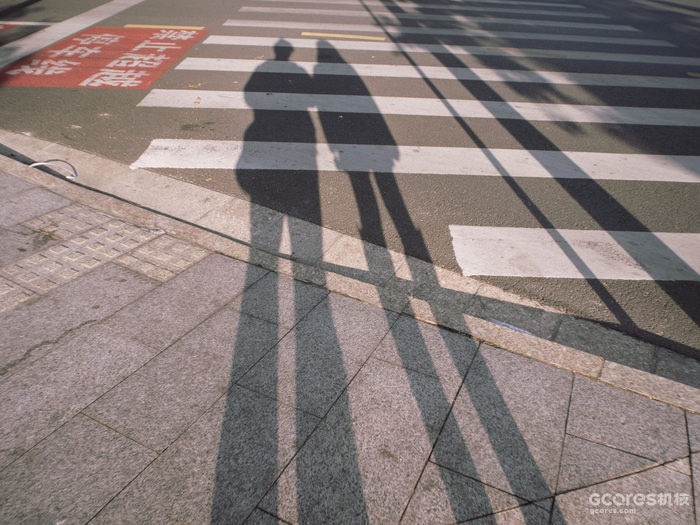 摄影分享丨这一年 摄影分享丨这一年