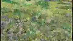 长篇童话
