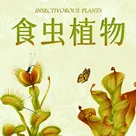 能吃虫子的草很可爱，还很好种活：为你详解食虫植物