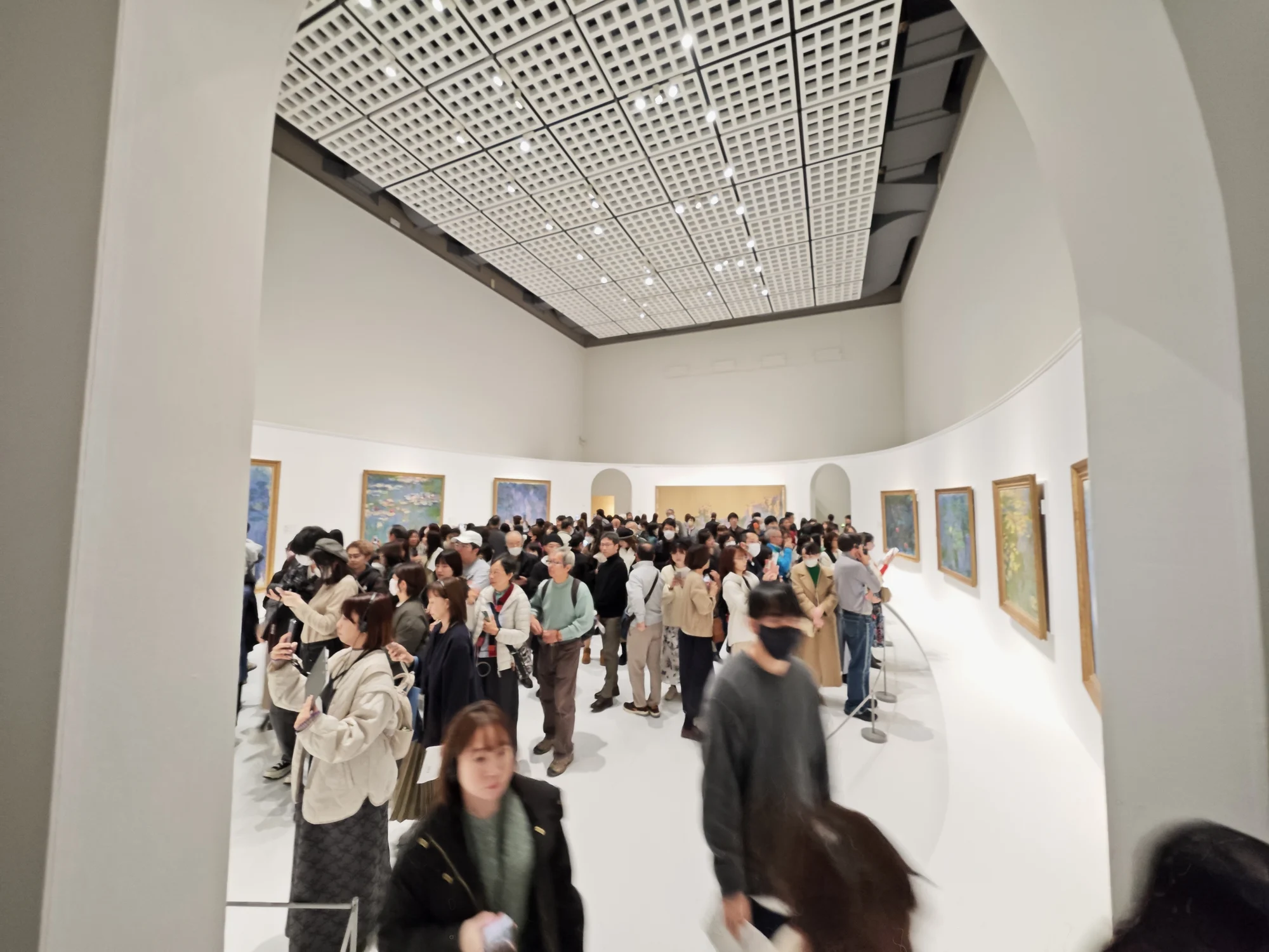 睡莲展厅