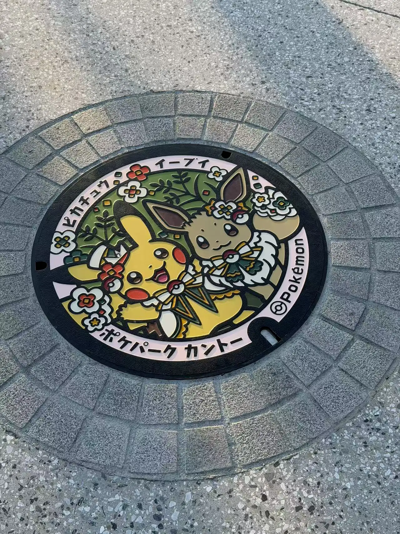 游玩Pokemon Go和Pokemon Home的朋友可以在头图的公园雕塑和此图的井盖处获取特殊电子印章和徽章，别忘了搜集哦！