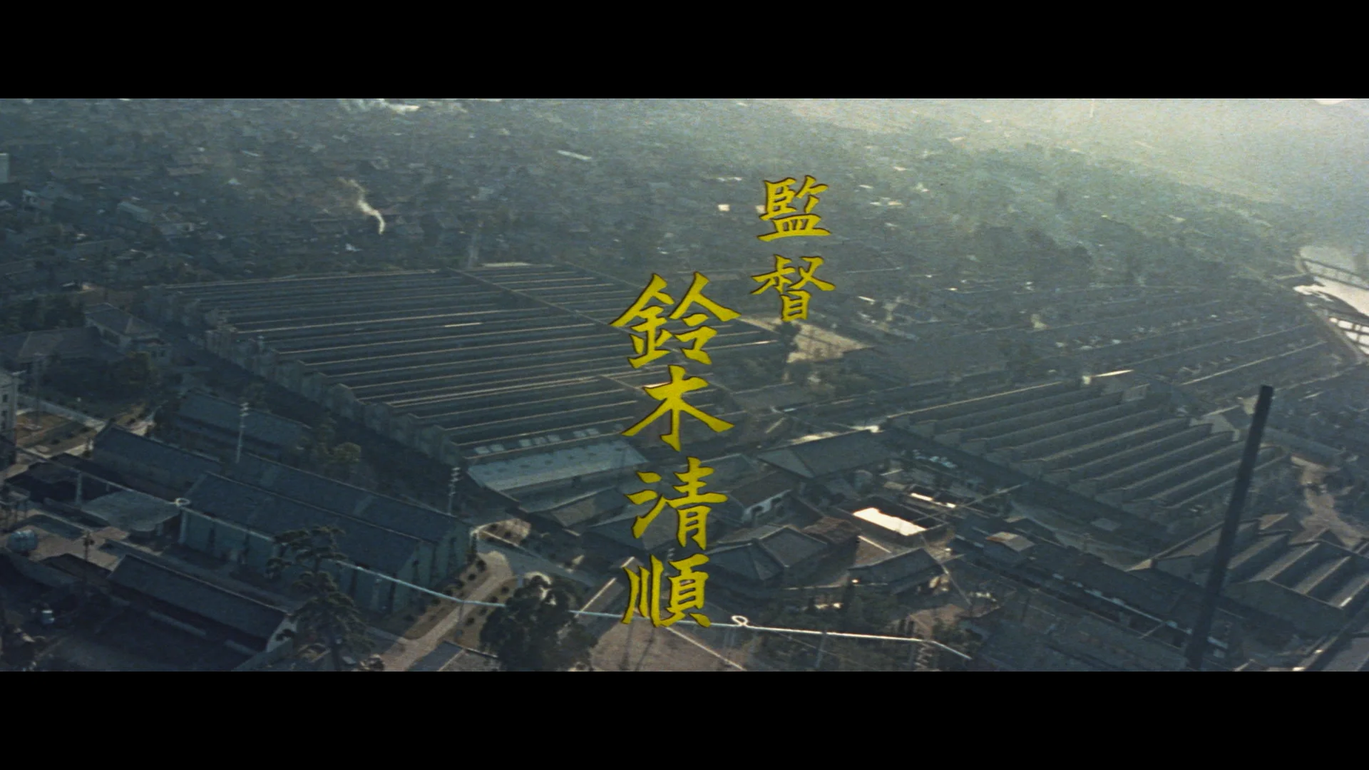 导演  铃木清顺