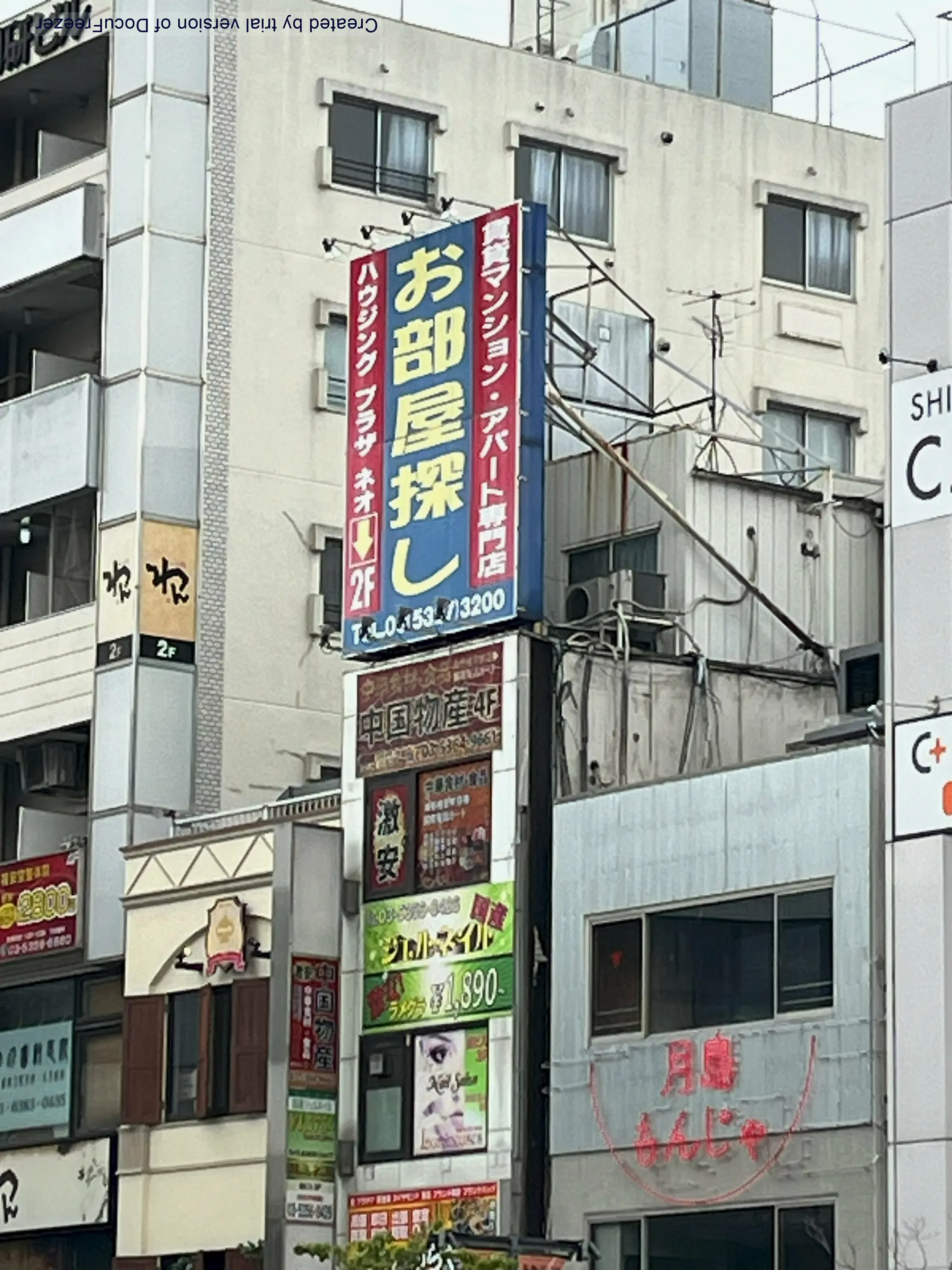 椰树遥遥领先