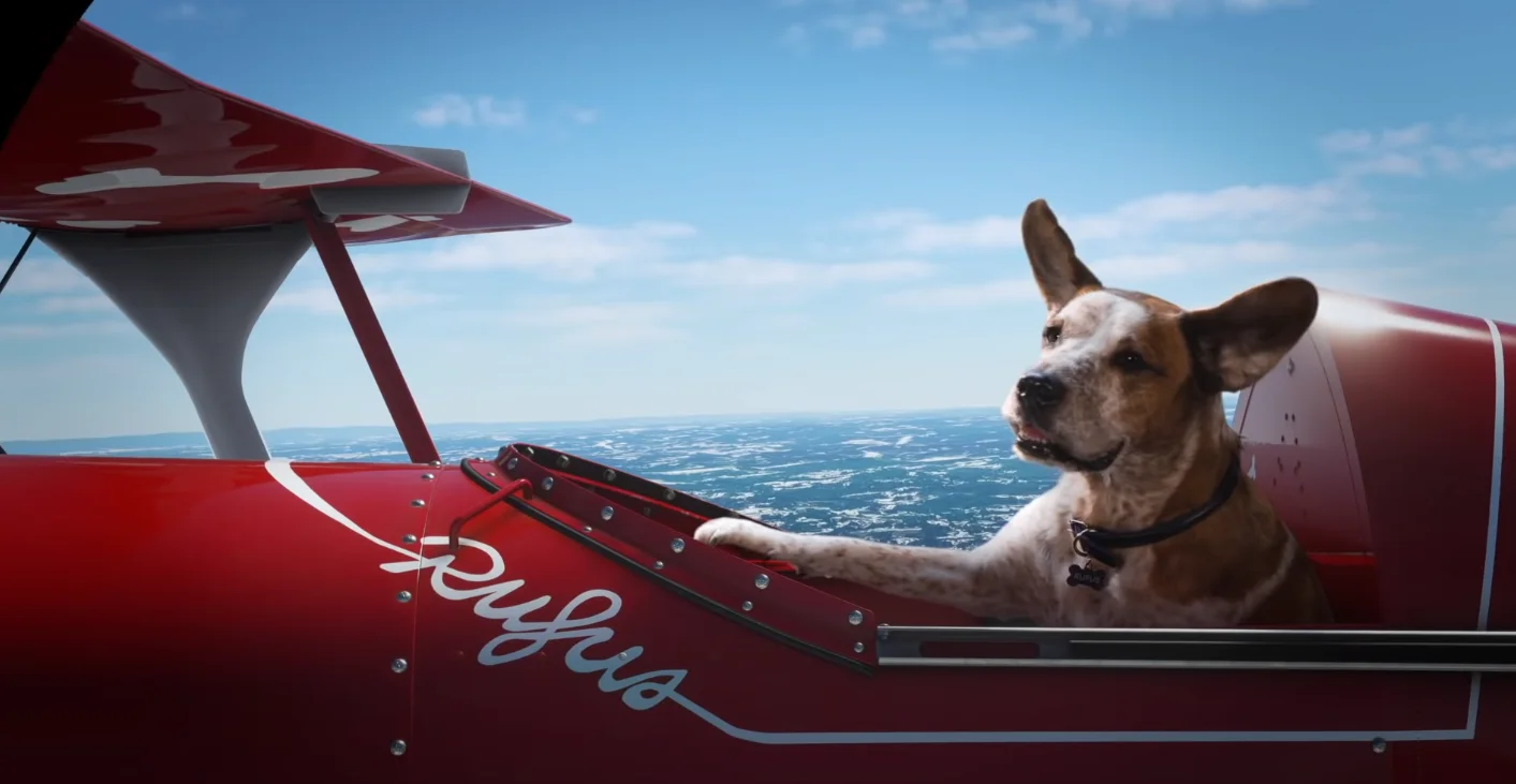 微软2020假日广告：“软狗”的梦想