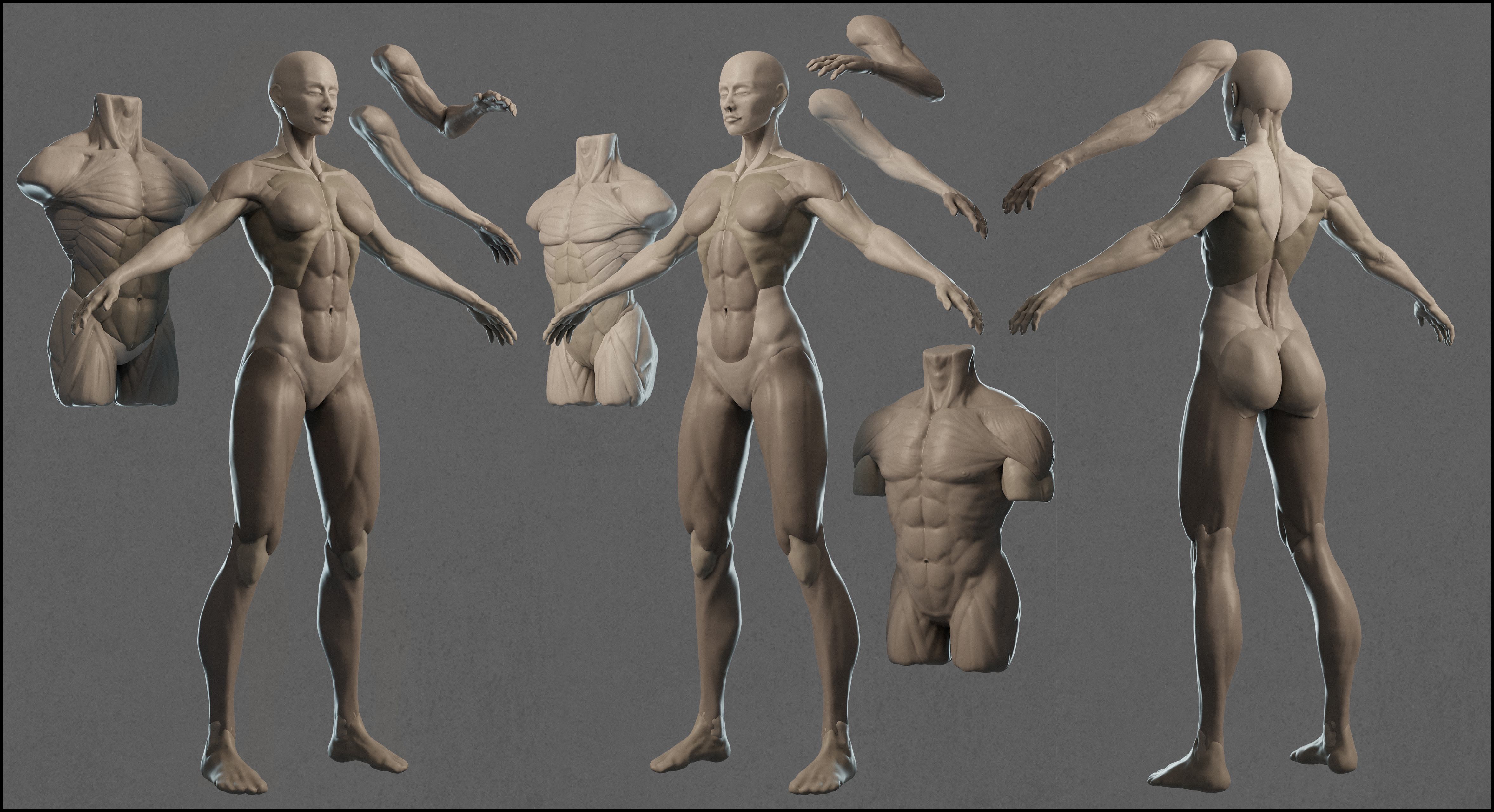 男性軀幹雕塑；嘗試將手臂由分塊向成品手臂和包含姿態的手臂雕刻 