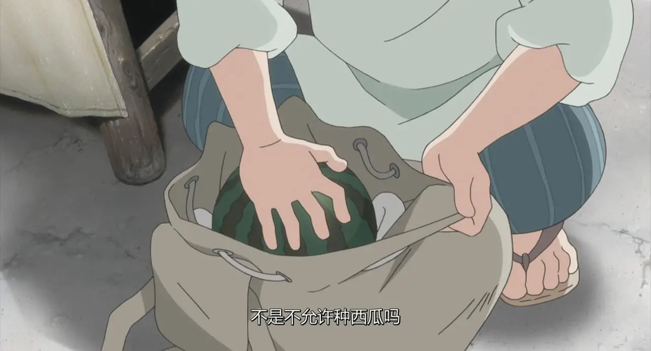 西瓜