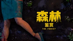 游戏鉴赏