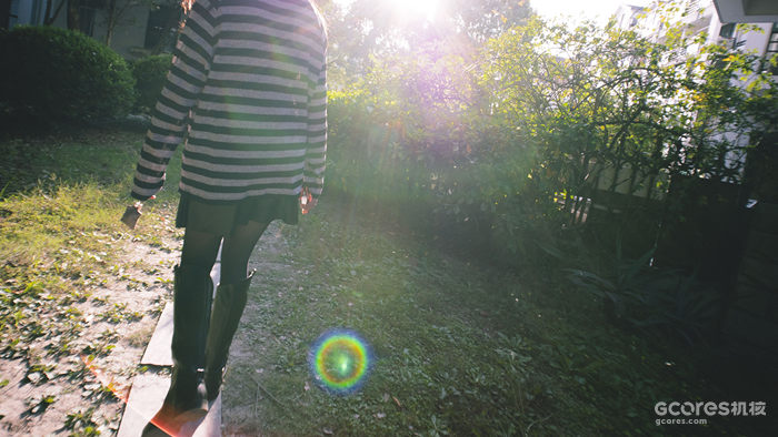 摄影分享丨这一年 摄影分享丨这一年