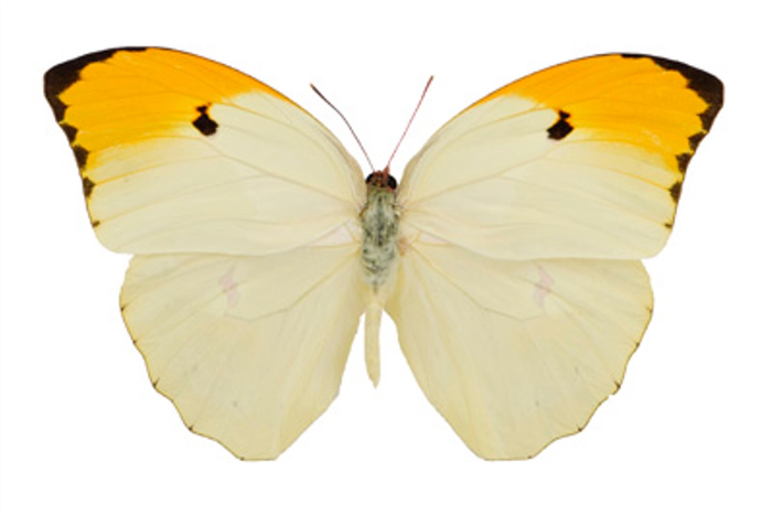 《铃芽之旅》剧情与民俗深度解读 《铃芽之旅》剧情与民俗深度解读