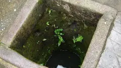 长篇童话