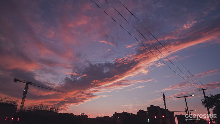 摄影分享丨这一年 摄影分享丨这一年