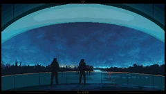 诺科