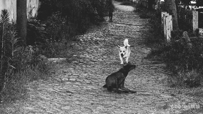 摄影分享丨这一年 摄影分享丨这一年