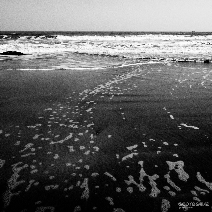 摄影分享丨这一年 摄影分享丨这一年