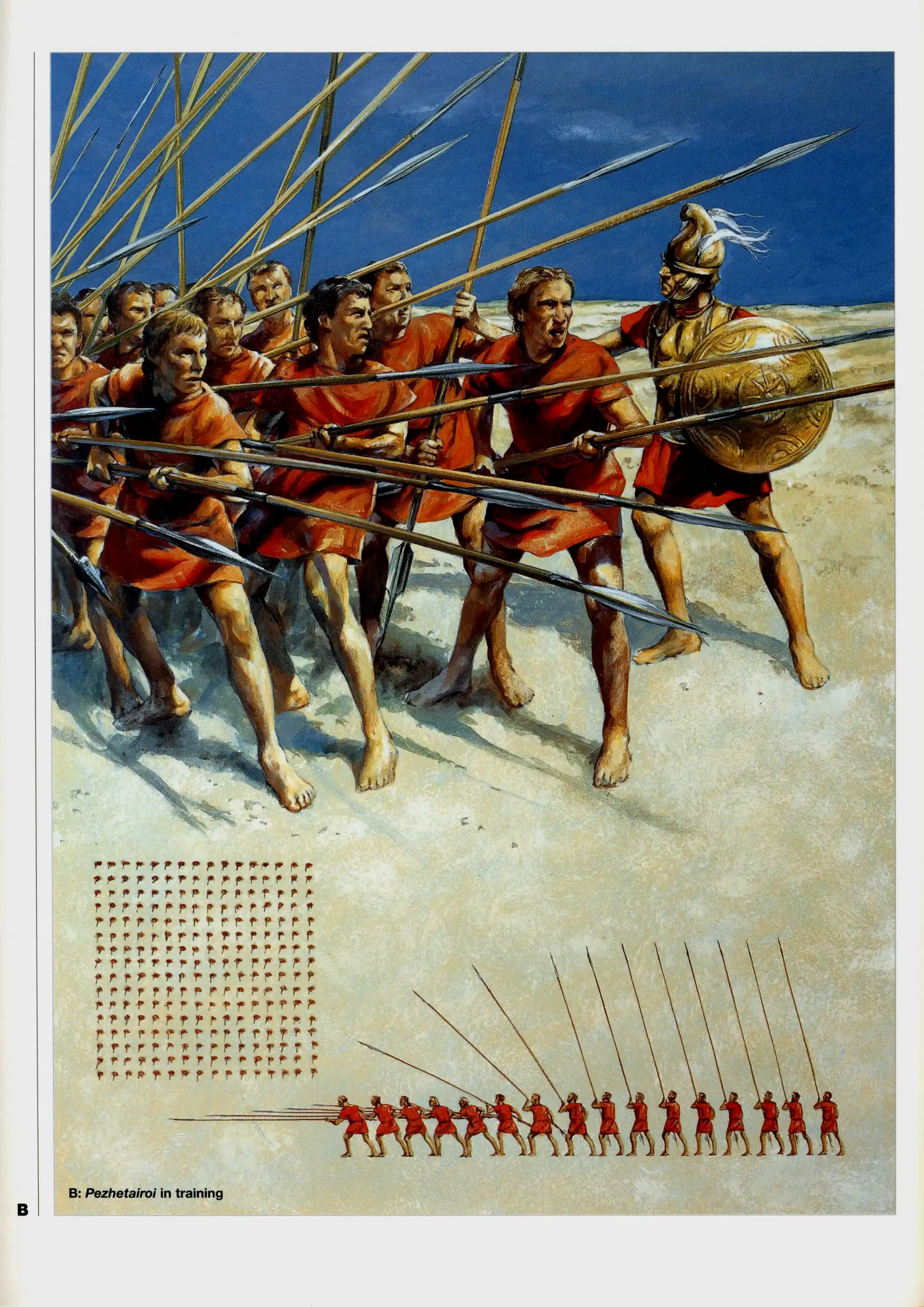 腓力二世的马其顿方阵发挥了重要作用。如图中所示，到了亚历山大时代，方阵前五排放平长枪，后五排把长枪斜向上举起，最后六排竖起长枪