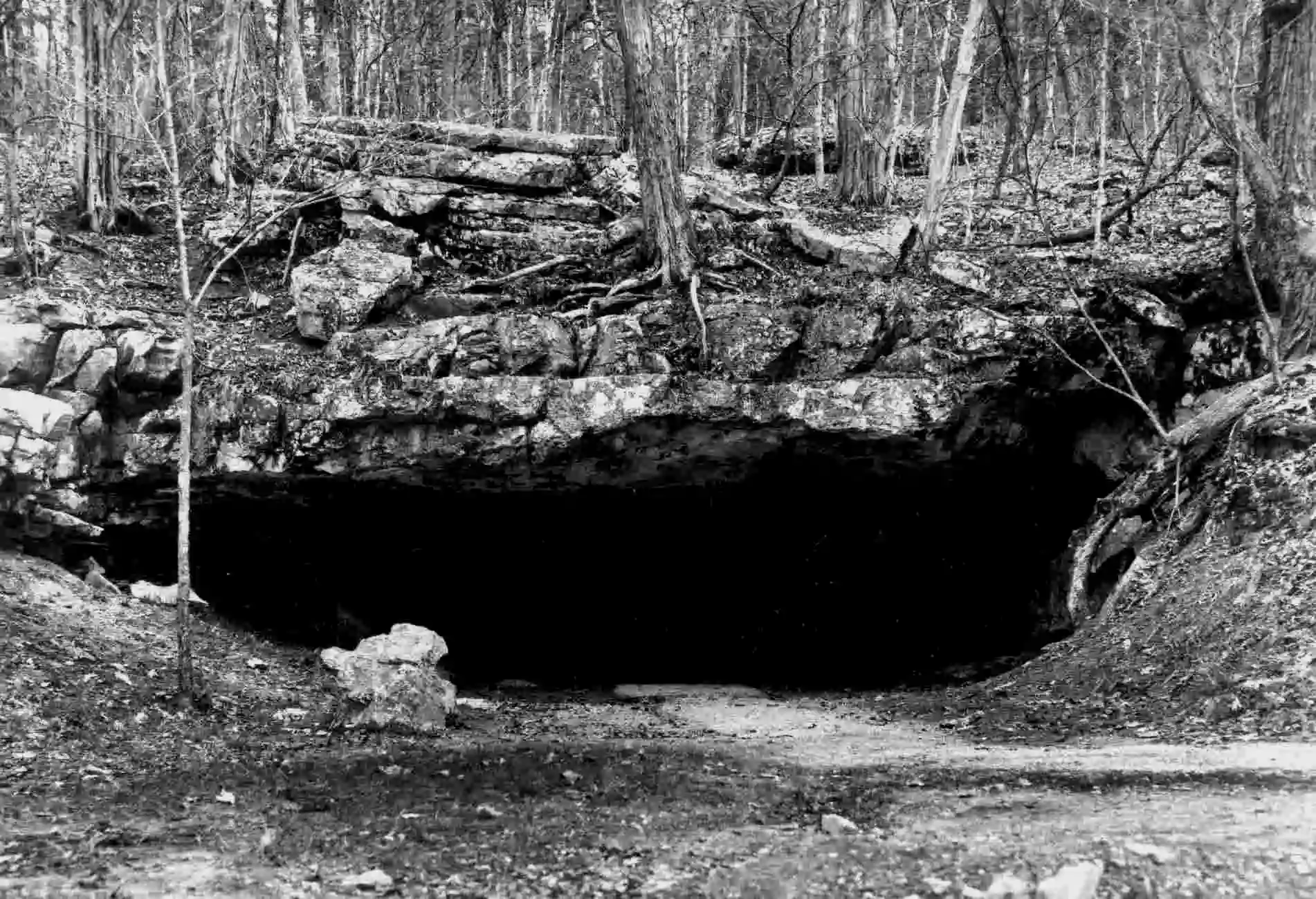 维恩多特洞穴是一个石灰岩洞穴，位于俄亥俄河沿岸，距离印第安纳州南部的科雷登12英里（19公里）现在是奥班农国家森林公园的一部分，广受旅游者喜爱。