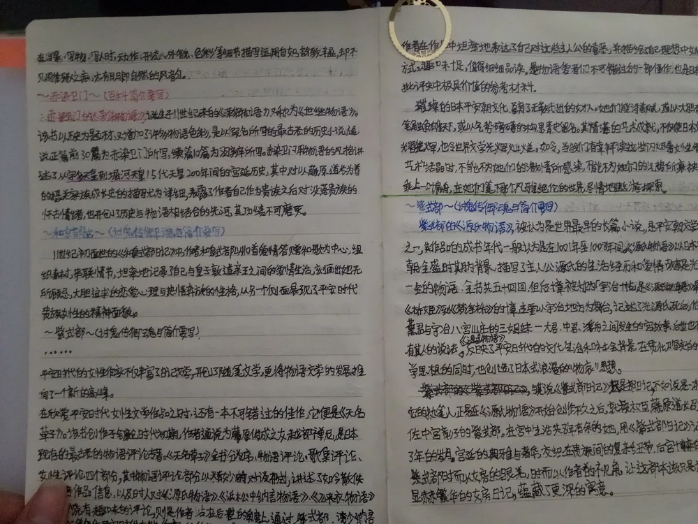 文稿（2）